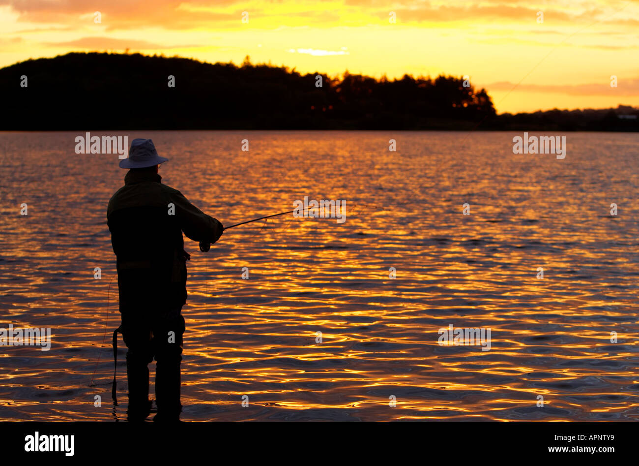 angler fisherman fly fishing for trout on Stoneyford Reservoir at sunset county antrim northern ireland Stock Photo