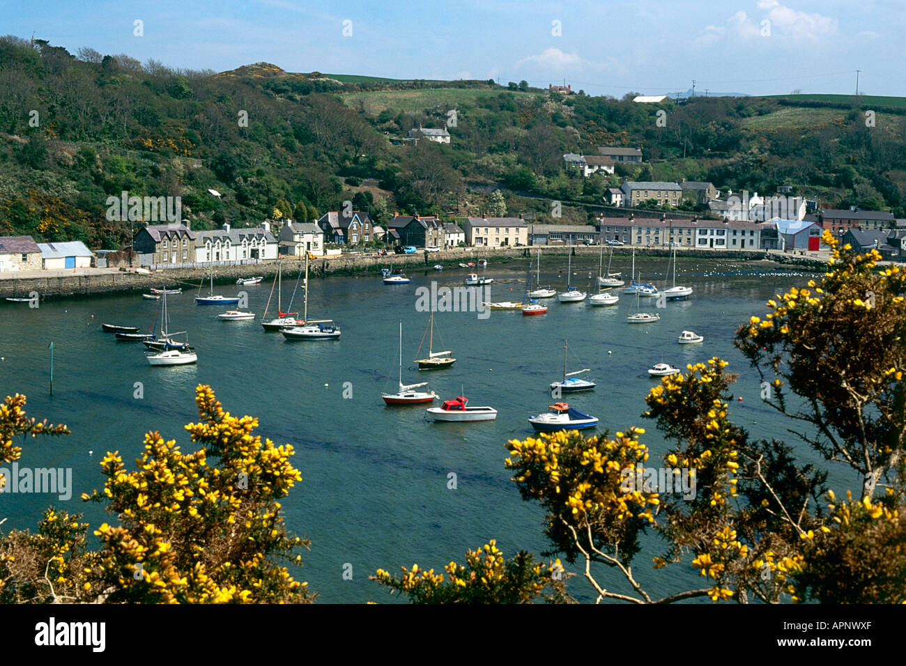 Fishguard old harbour pembrokeshire wales hires stock photography and
