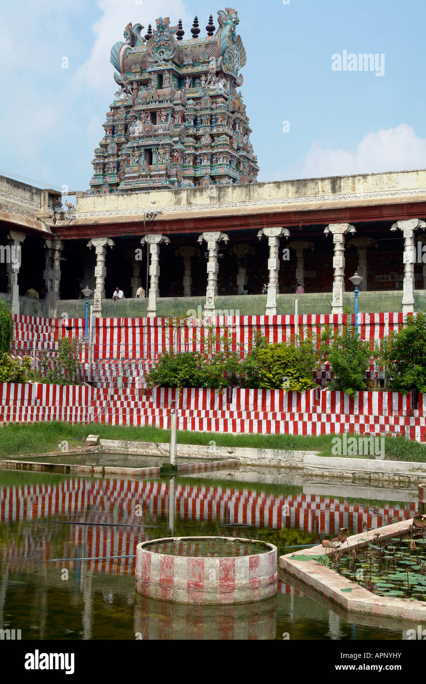 golden lotus tank at sri meenakshi temple madurai Stock Photo Alamy