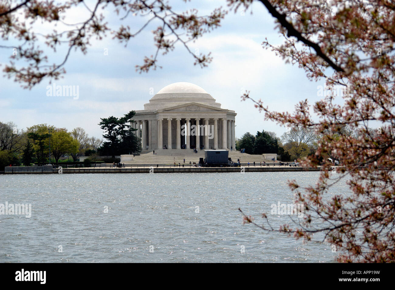 Cherry Blossoms and The Jefferson Memorial Tidal Basin Washington DC USA Stock Photo