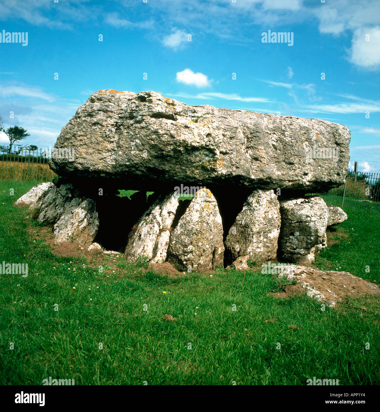 Neolithic Lligwy burial chamber Moelfre Anglesey Stock Photo Alamy