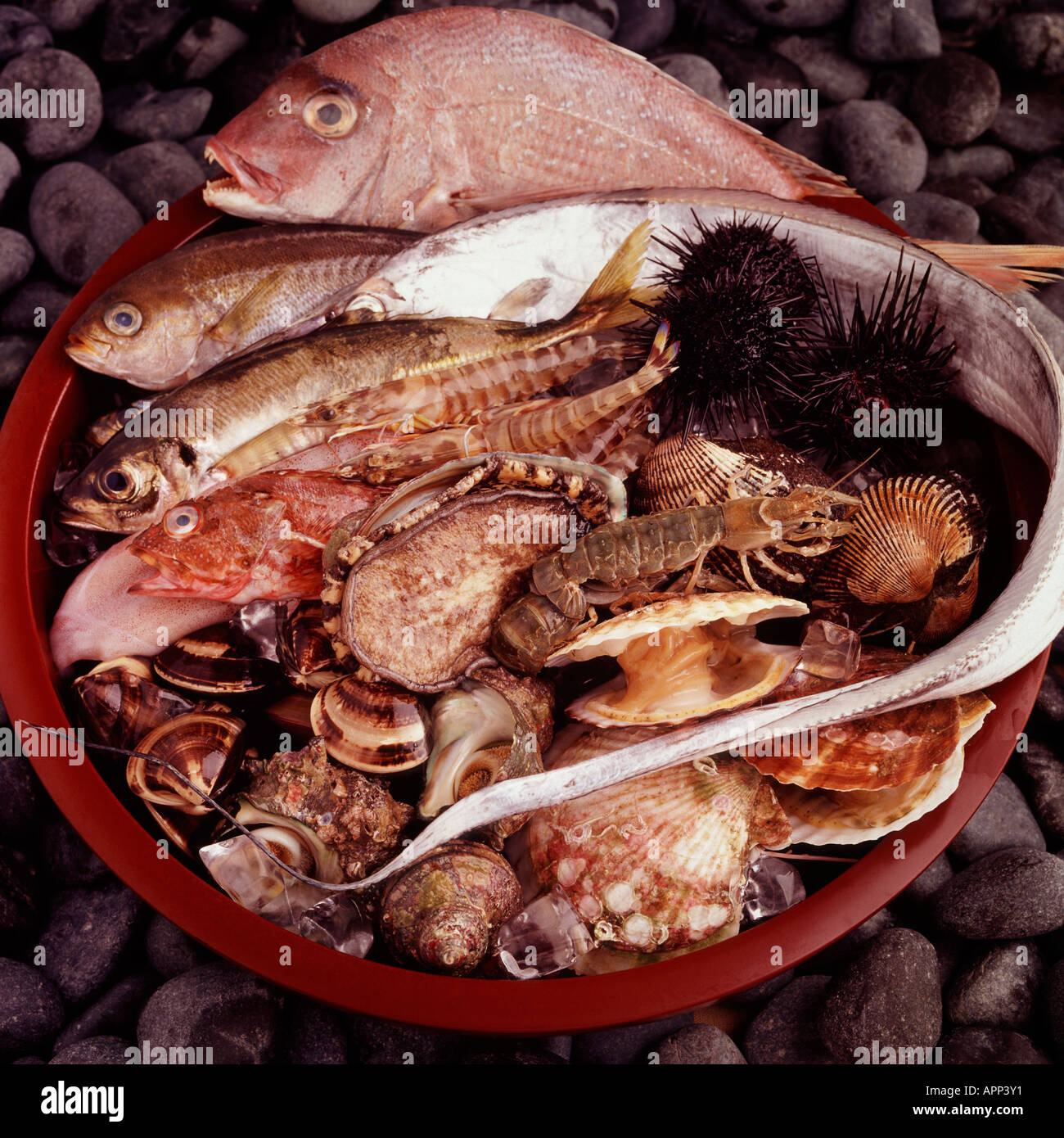 Fresh Fish and Shellfish Selection Stock Photo Alamy