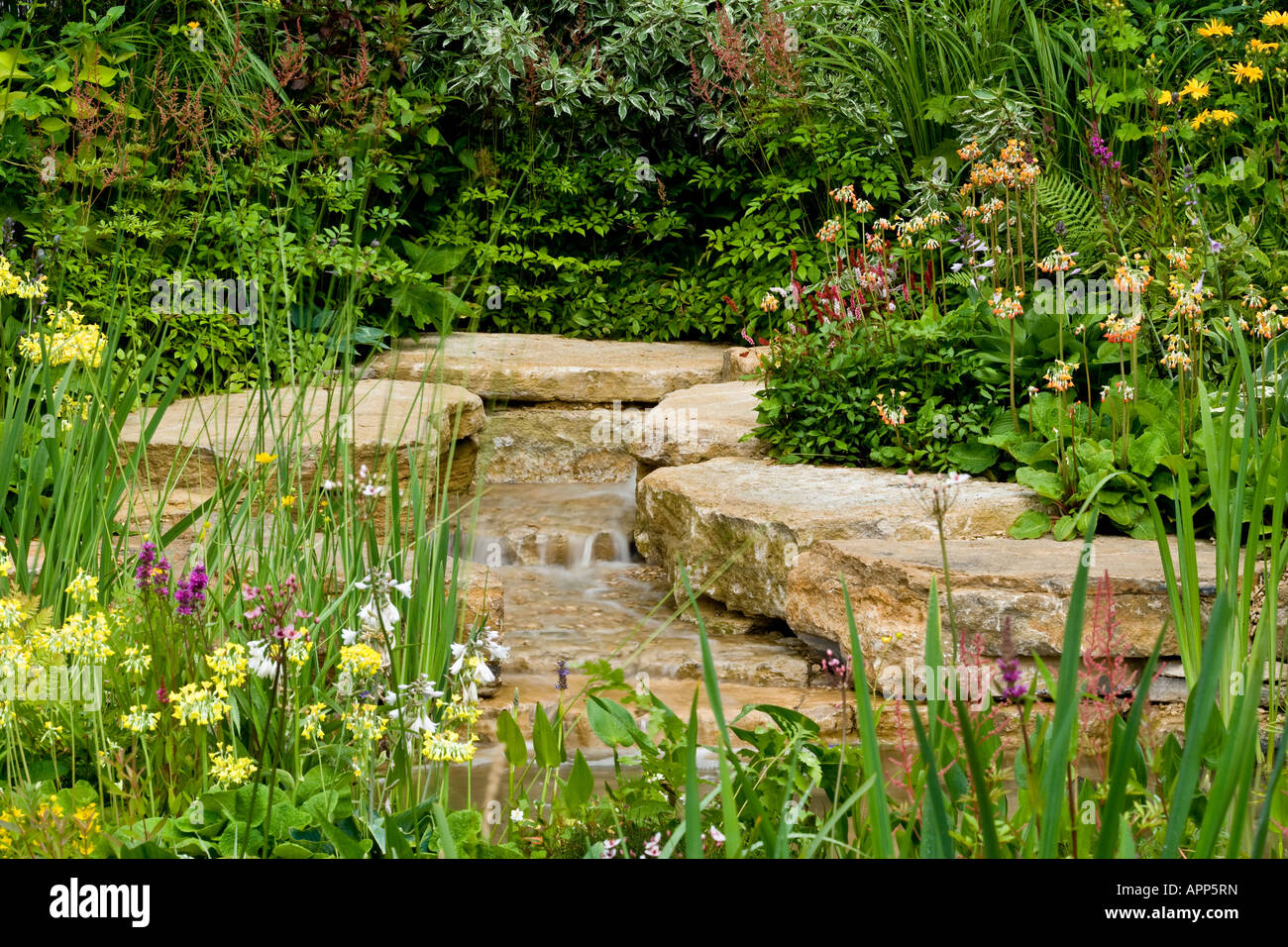Waterfall and stream of Purbeck stone with primulas and other moisture-loving plants on either side. Stock Photo