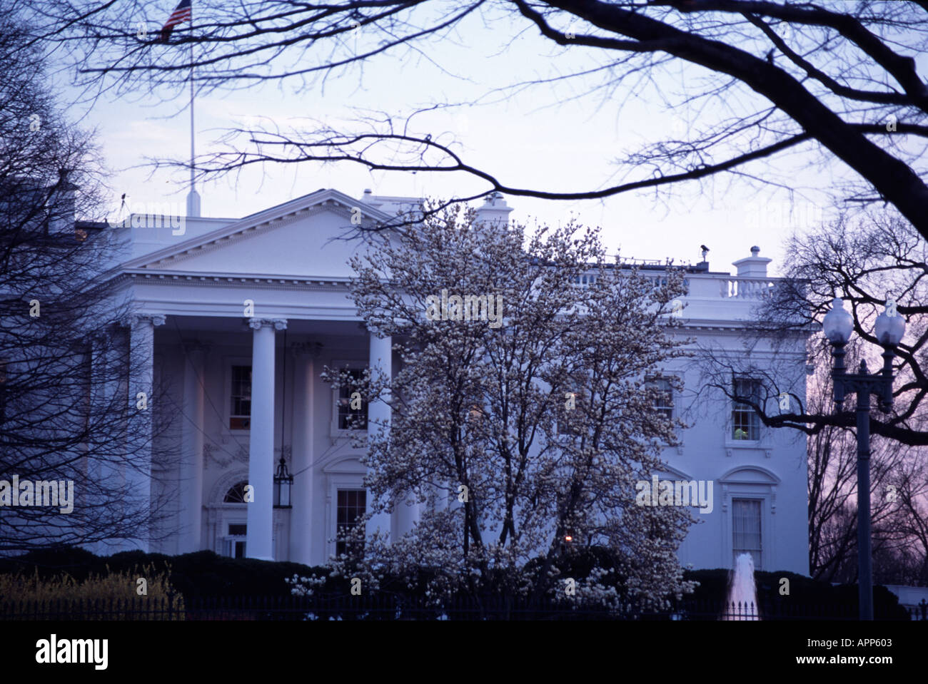White House in Washington D.C. Stock Photo