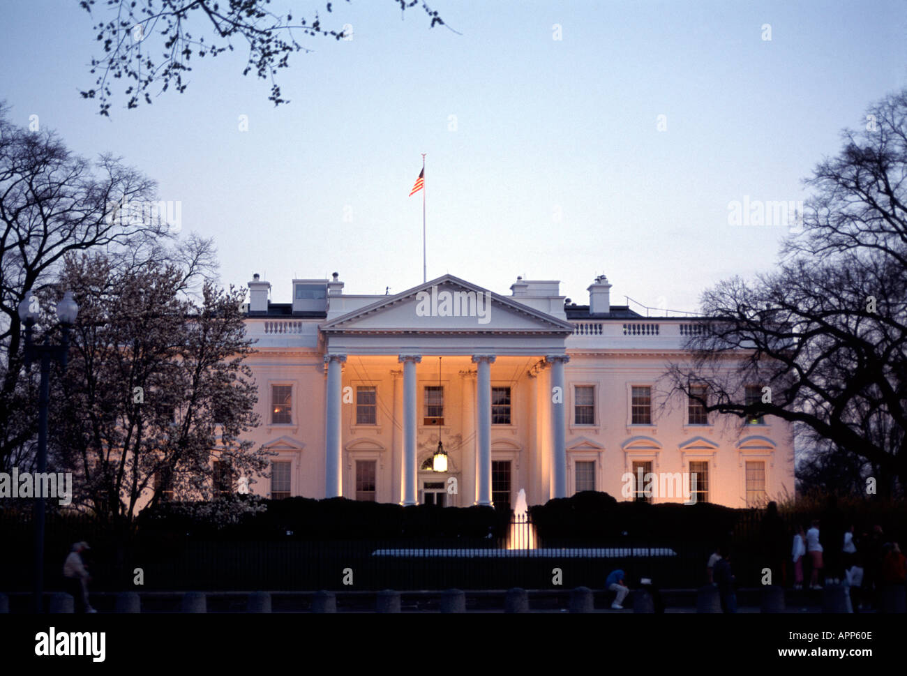 White House in Washington D.C. Stock Photo