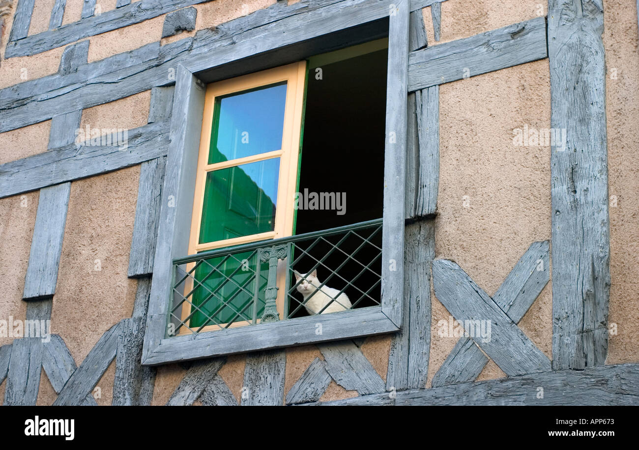 cat in the window of old house Stock Photo