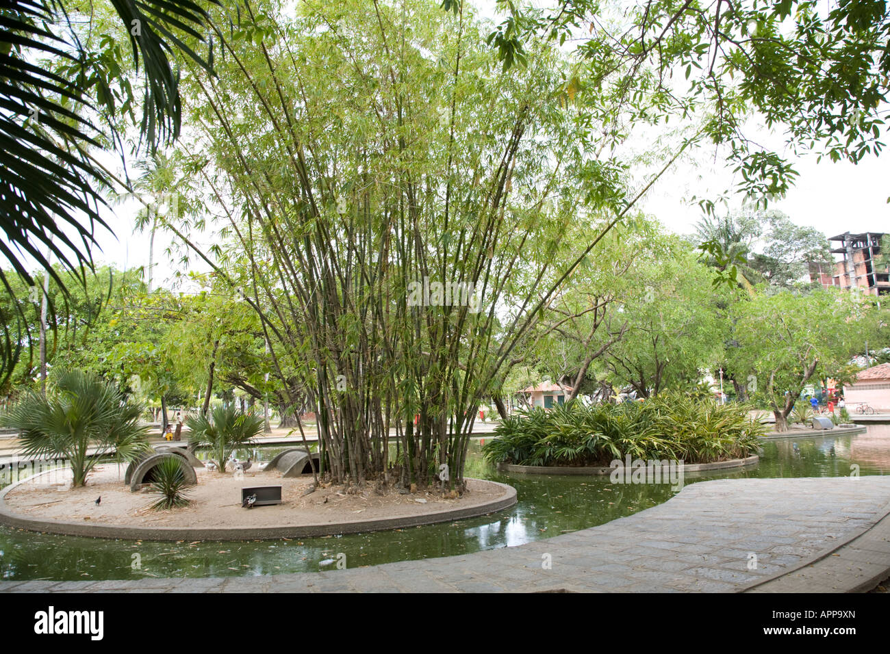 Recife Parque 13 de Maio, Recife, Pernambuco, Brazil Stock Photo Alamy Recife Parque 13 de Maio, Recife, Pernambuco, Brazil Stock Photo Alamy