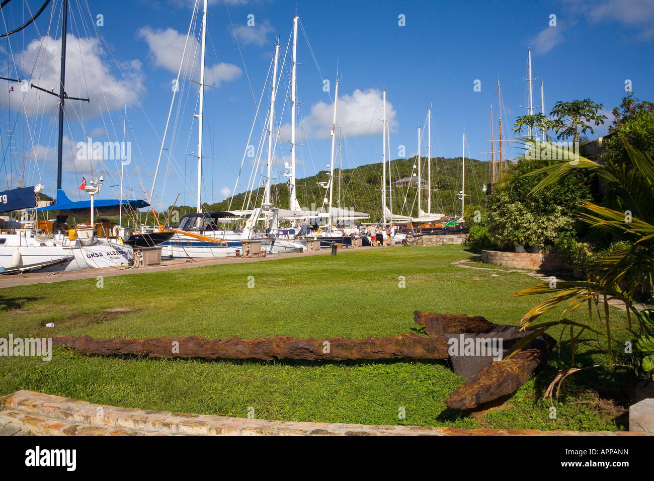 Boats at Nelsons Dockyard in Antigua Stock Photo