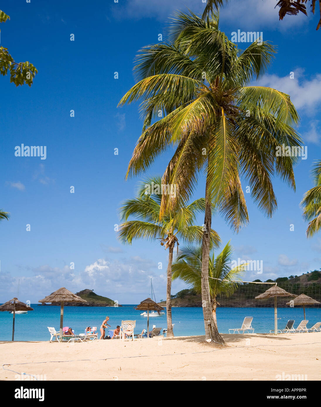 The Beach at the Hotel Royal Antiguan in the Caribbean island of Antigua Stock Photo