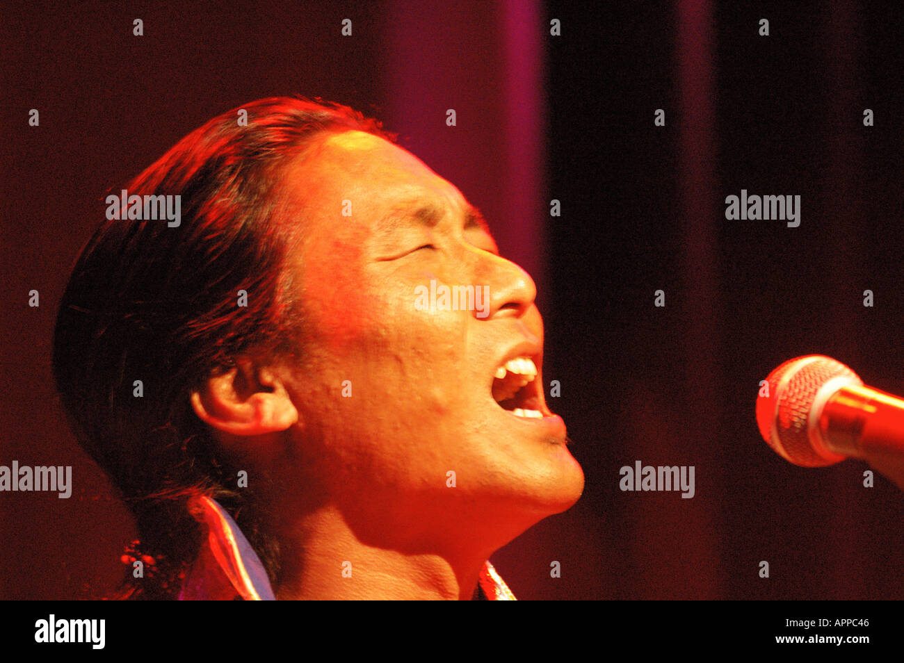 Dranyen High Resolution Stock Photography And Images Alamy https www alamy com tenzin choegyal tibetan musician master of tibetan dranyen long necked image2944069 html