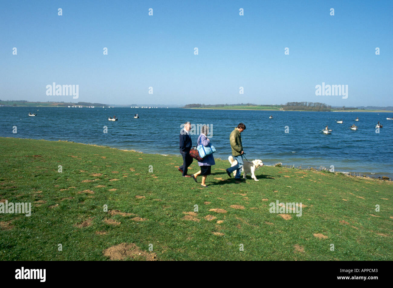 Boat Rowing Rutland People walk their dog by Rutland Water Lots of people in rowing boats ...