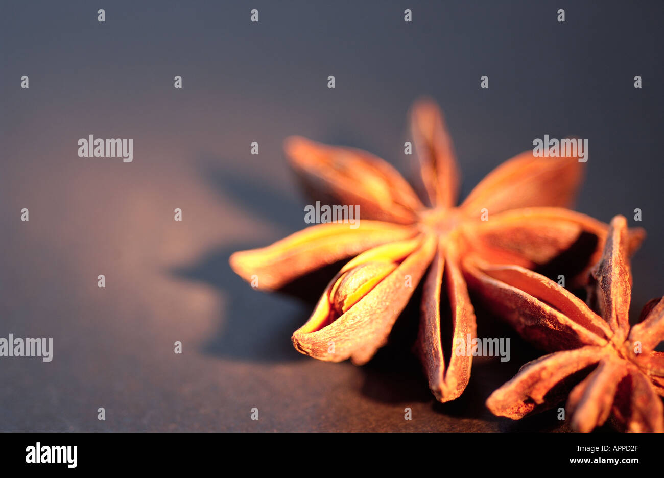 Tamiflu star anise hires stock photography and images Alamy