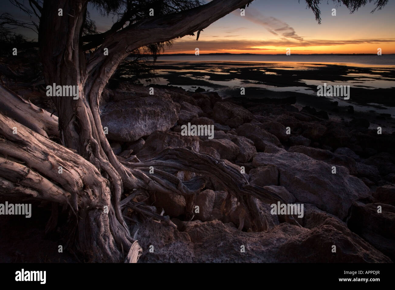 Sunset at Coffin Bay looking west towards Rabbit Island Eyre Peninsular South Australia SA Stock Photo