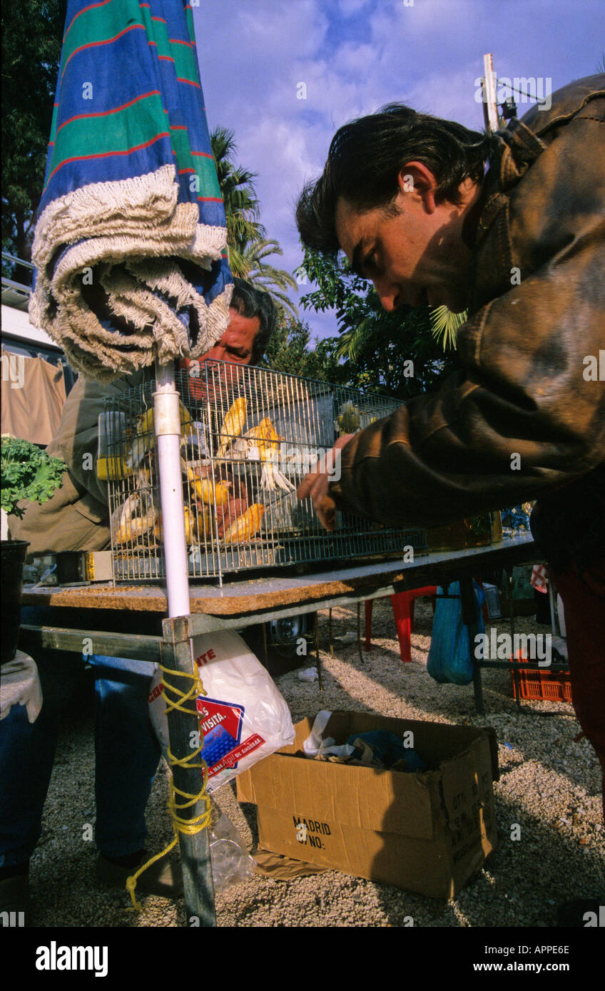 Spain. Car boot sale.Market Stock Photo Alamy