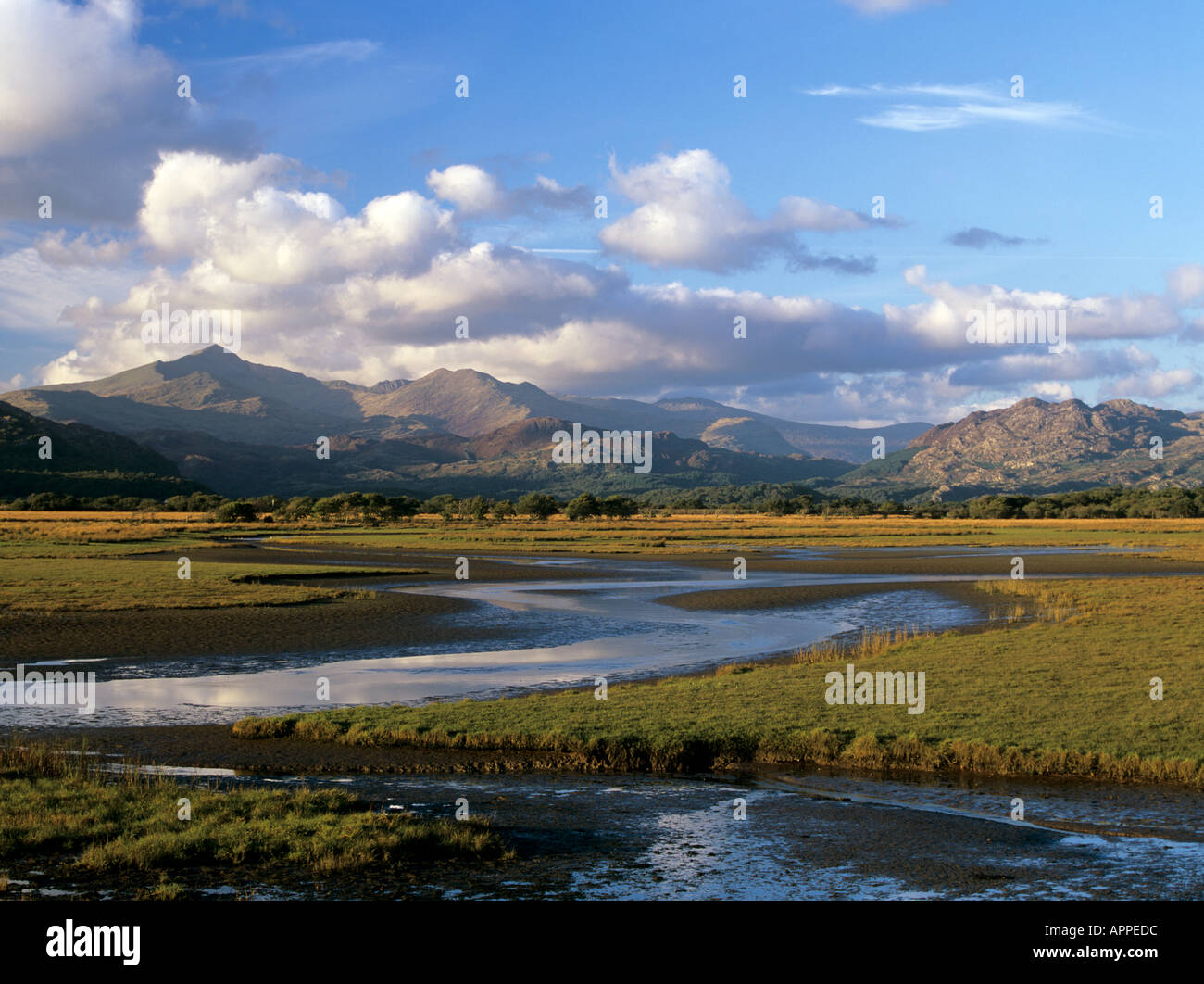 Afon Glaslyn River and Glaslyn marshes Site of Special Scientific Interest with Snowdonia National Park beyond Porthmadog Gwynedd Wales UK Stock Photo