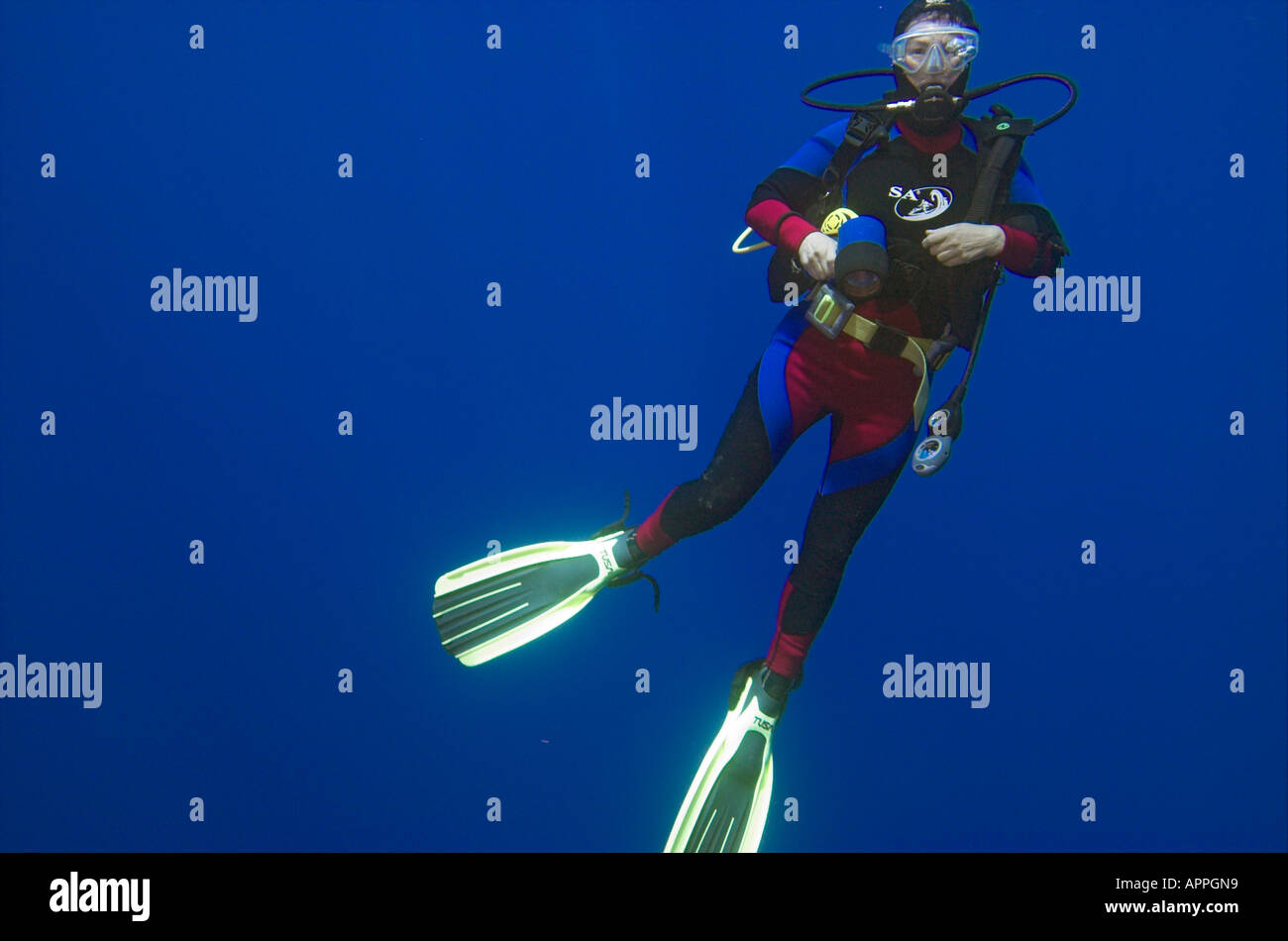 Looking up at a scuba diver in the clear blue underwater world Stock Photo