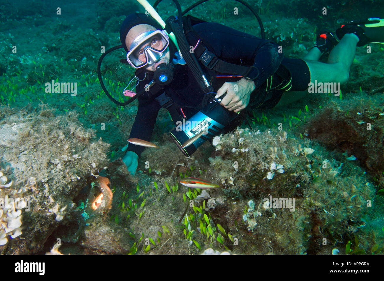 Diver finding amphora shards from ancient shipwreck at Paros Island