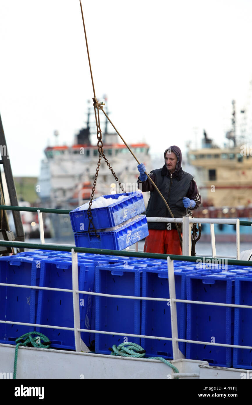 Aberdeen fish market hires stock photography and images Alamy