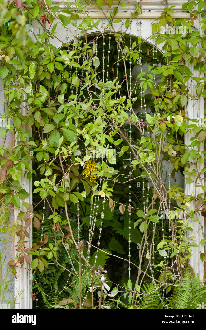 Doorway with beaded curtain intertwined with plants including Lonicera x brownii Dropmore Scarlet Parthenocissus quinquefolia Stock Photo