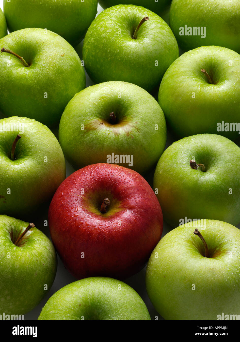 Granny Smith Apples and a red Braeburn apple full frame editorial food