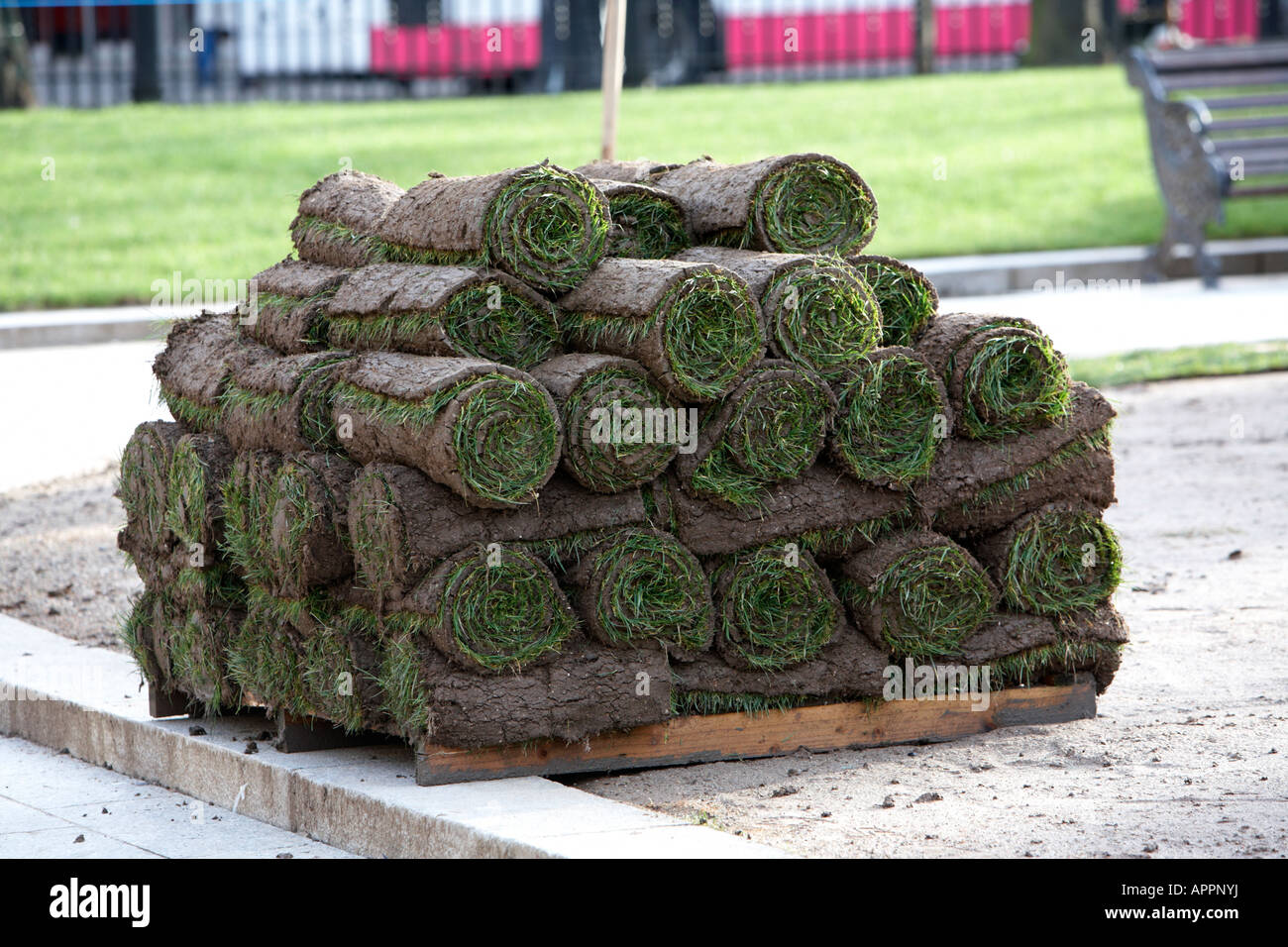 pallet of grass turf rolls about to be laid on prepared ground parkland Belfast Northern Ireland UK Stock Photo