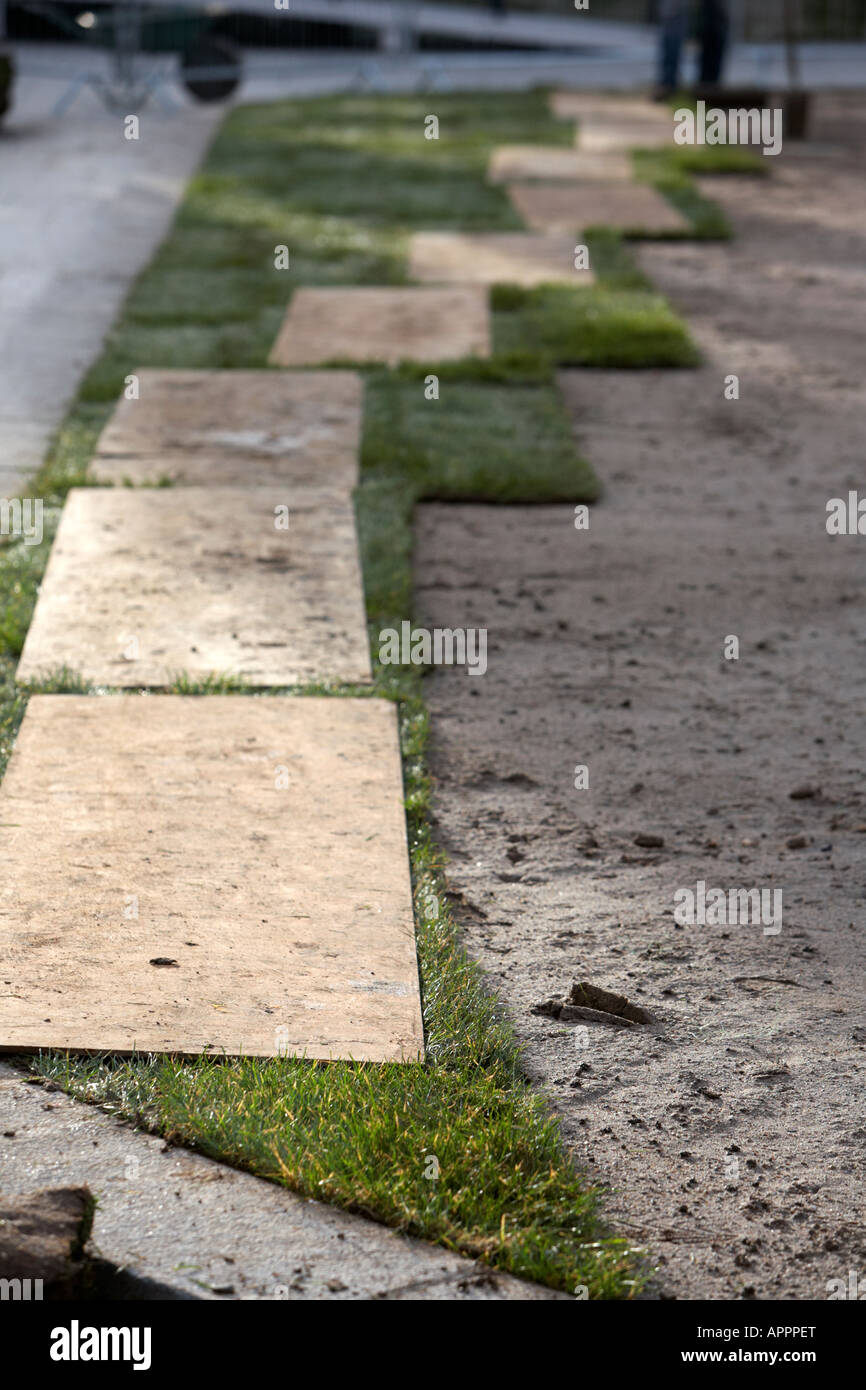 Relaying grass hires stock photography and images Alamy