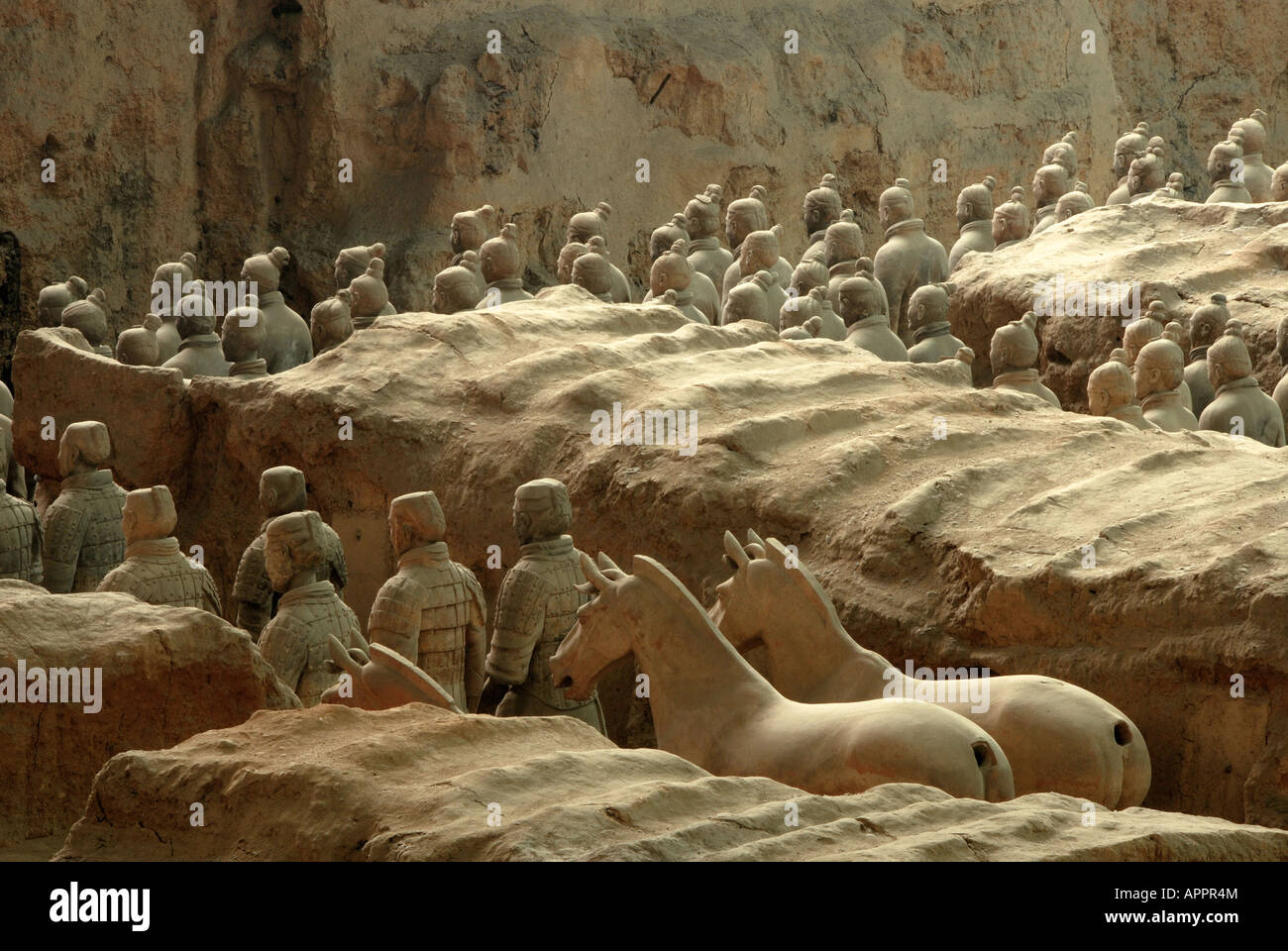 Terra Cotta Warriors and Horses of Qin Shi Huang, the first Emperor of China Stock Photo