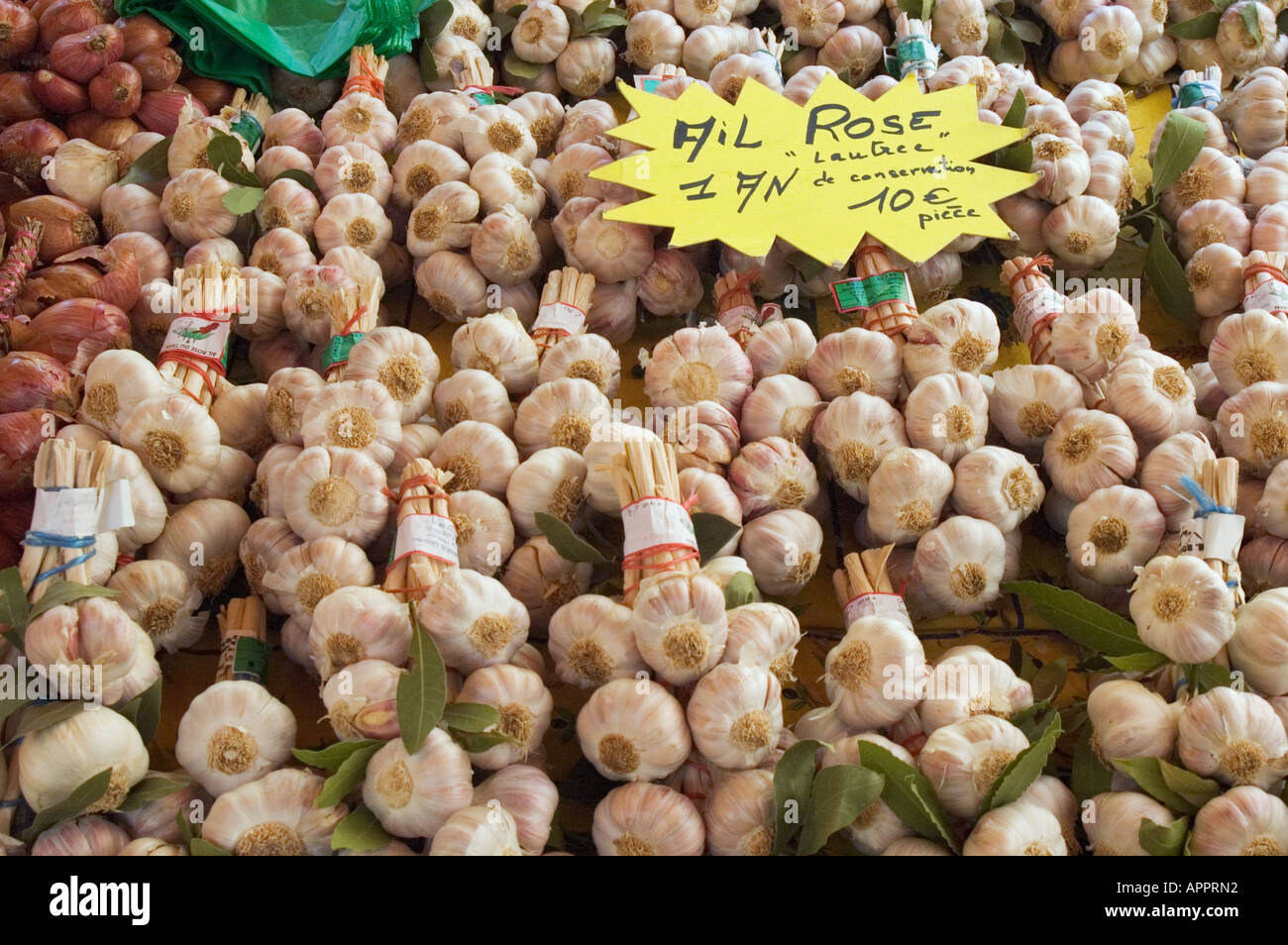 bunches of garlic, Market stall,  St Tropez,  Provence,  France Stock Photo