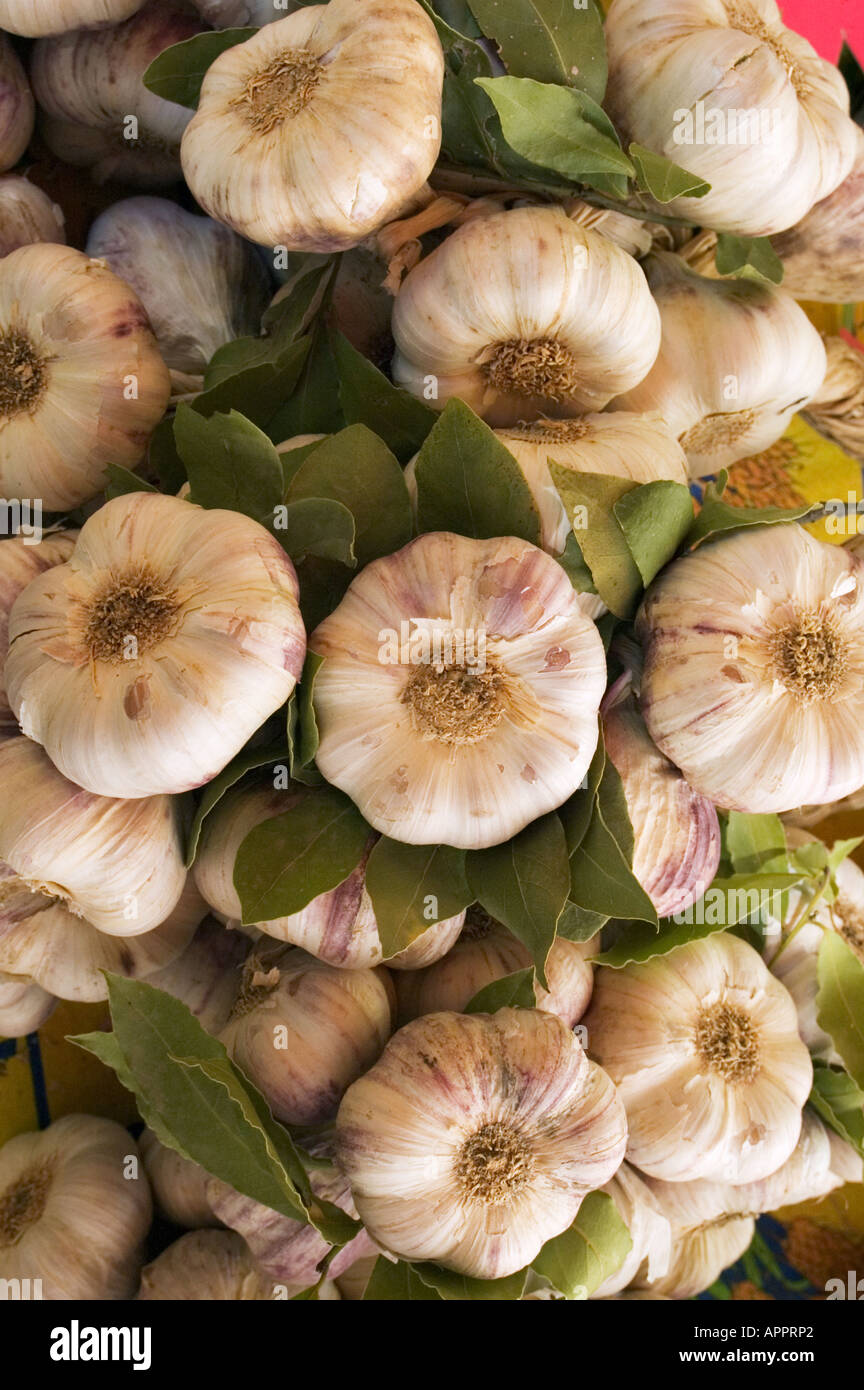 a bunch of garlic, Market stall,  St Tropez,  Provence,  France Stock Photo