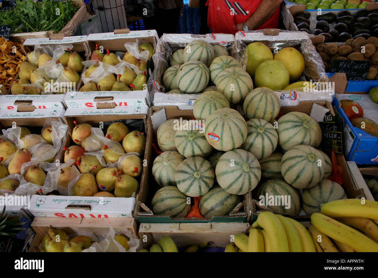 Caisse De Melons Melon Case In Market South Of France Frejus Marche Aux Legumes Fruits Et Legumes Melons De Cavaillon Danie Stock Photo Alamy Caisse De Melons Melon Case In Market South Of France Frejus Marche Aux Legumes Fruits Et Legumes Melons De Cavaillon Danie Stock Photo Alamy