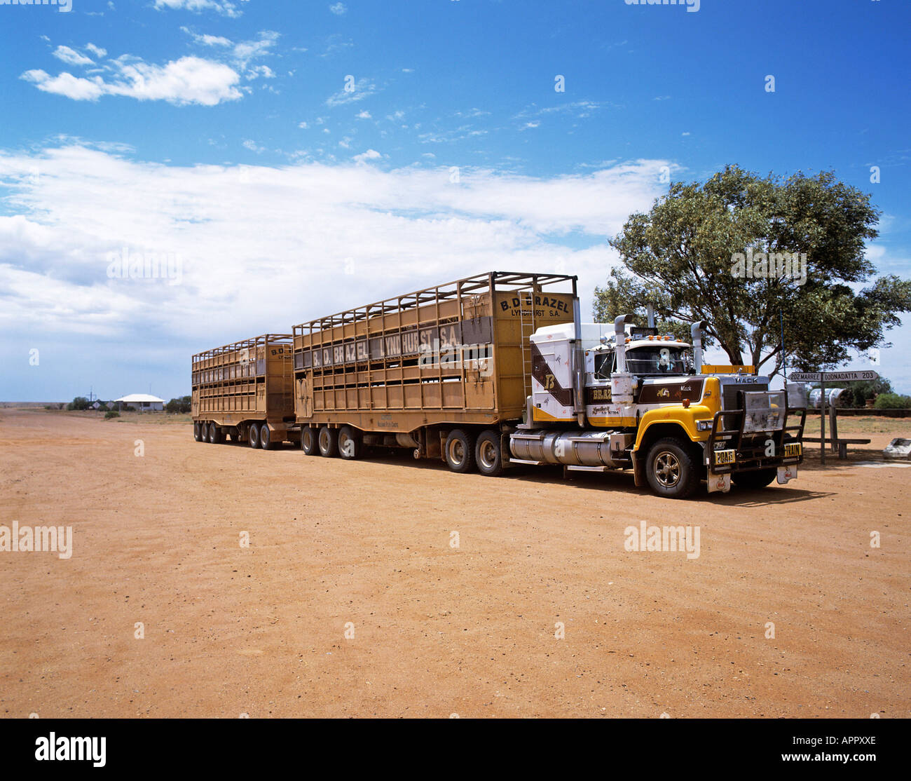 Road Train lorry with two livestock trailers in Southern Australia