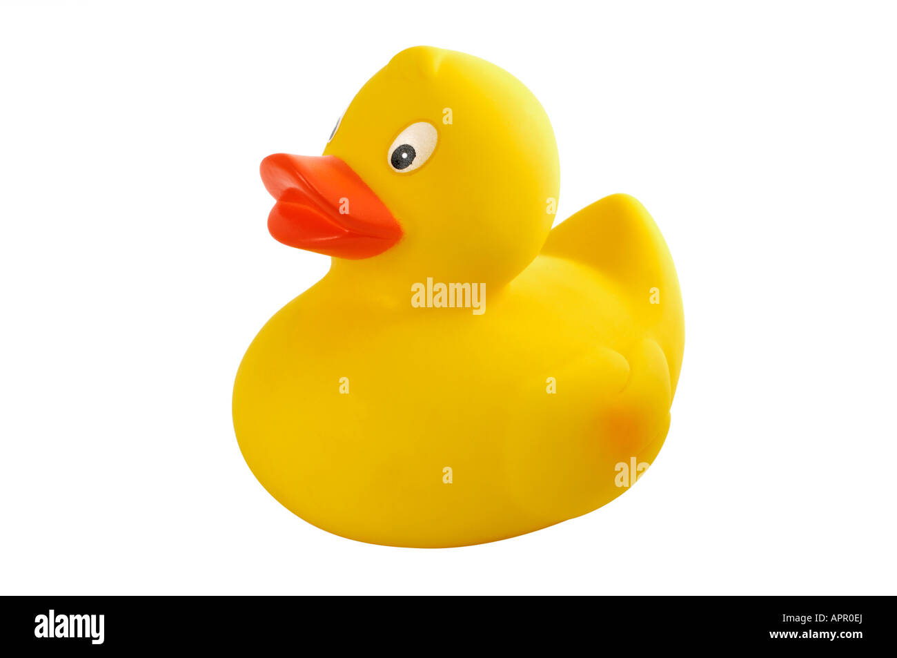 Rubber duck bath toy Stock Photo