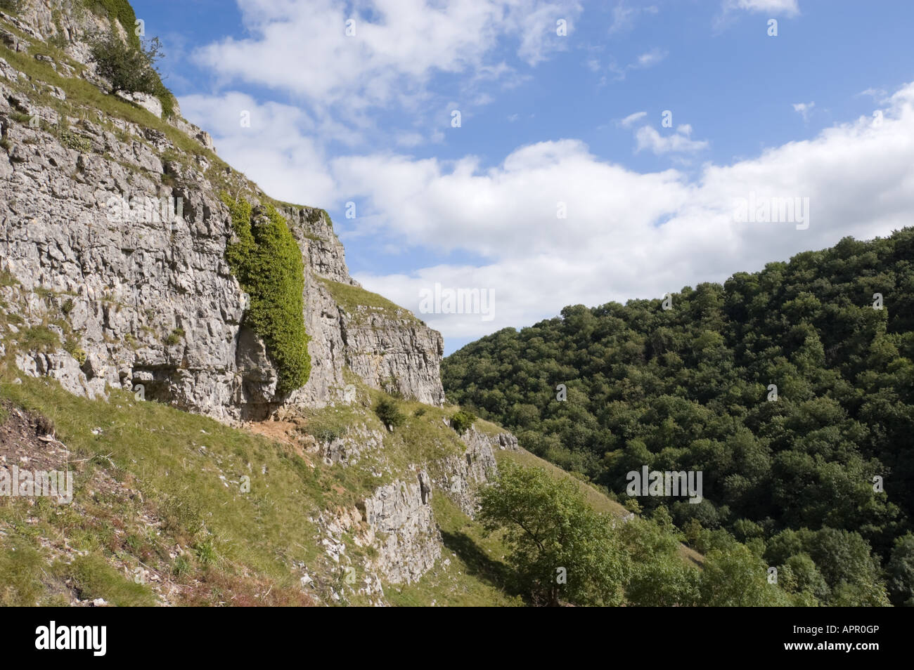 Rocky limestone cliffs in Lathkill Dale, Peak District, Derbyshire, England, UK Stock Photo