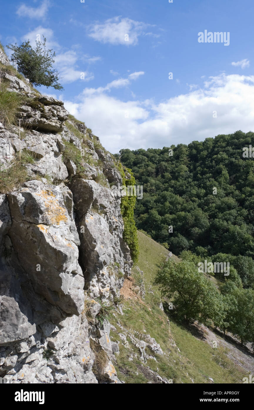 Limestone cliffs in Lathkill Dale, Peak District, Derbyshire, England, UK Stock Photo