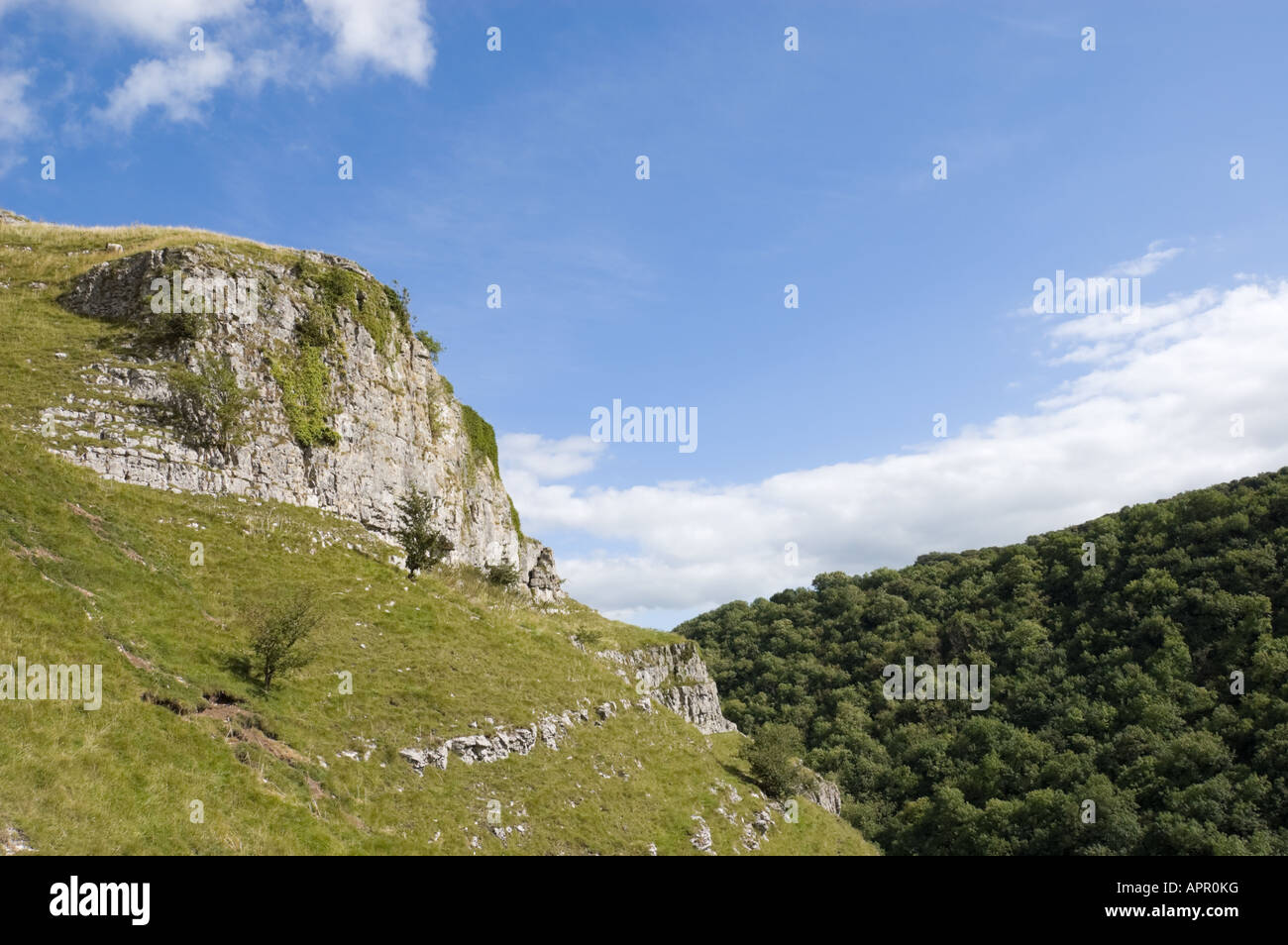 Limestone cliffs in Lathkill Dale, Peak District, Derbyshire, England, UK Stock Photo