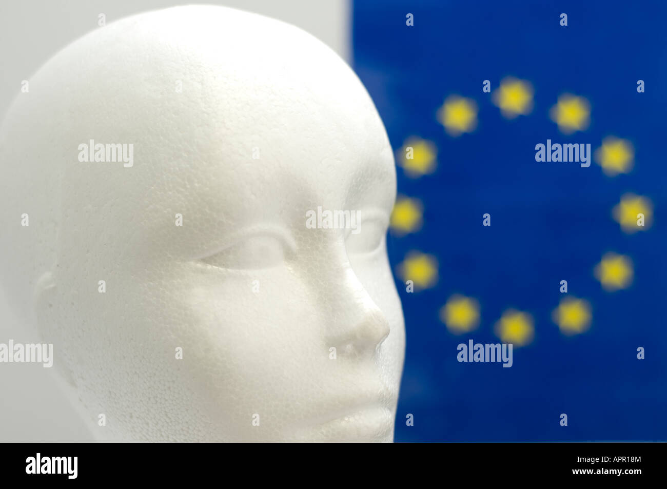 a white styrofoam head with a European flag in the background Stock Photo