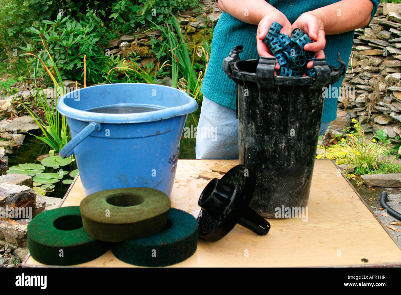OVERHAULING FILTERS RINSE THE BIOLGICAL MEDIA IN POND WATER IF NECESSARY Stock Photo