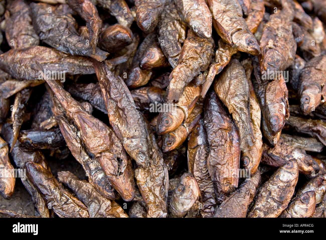 Dry Fish, Kathmandu, Nepal Stock Photo Alamy