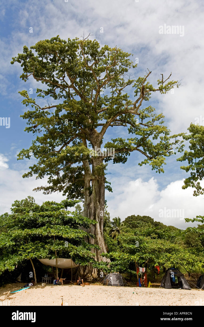 Liberia, Cape Mount, Robertsport Stock Photo - Alamy