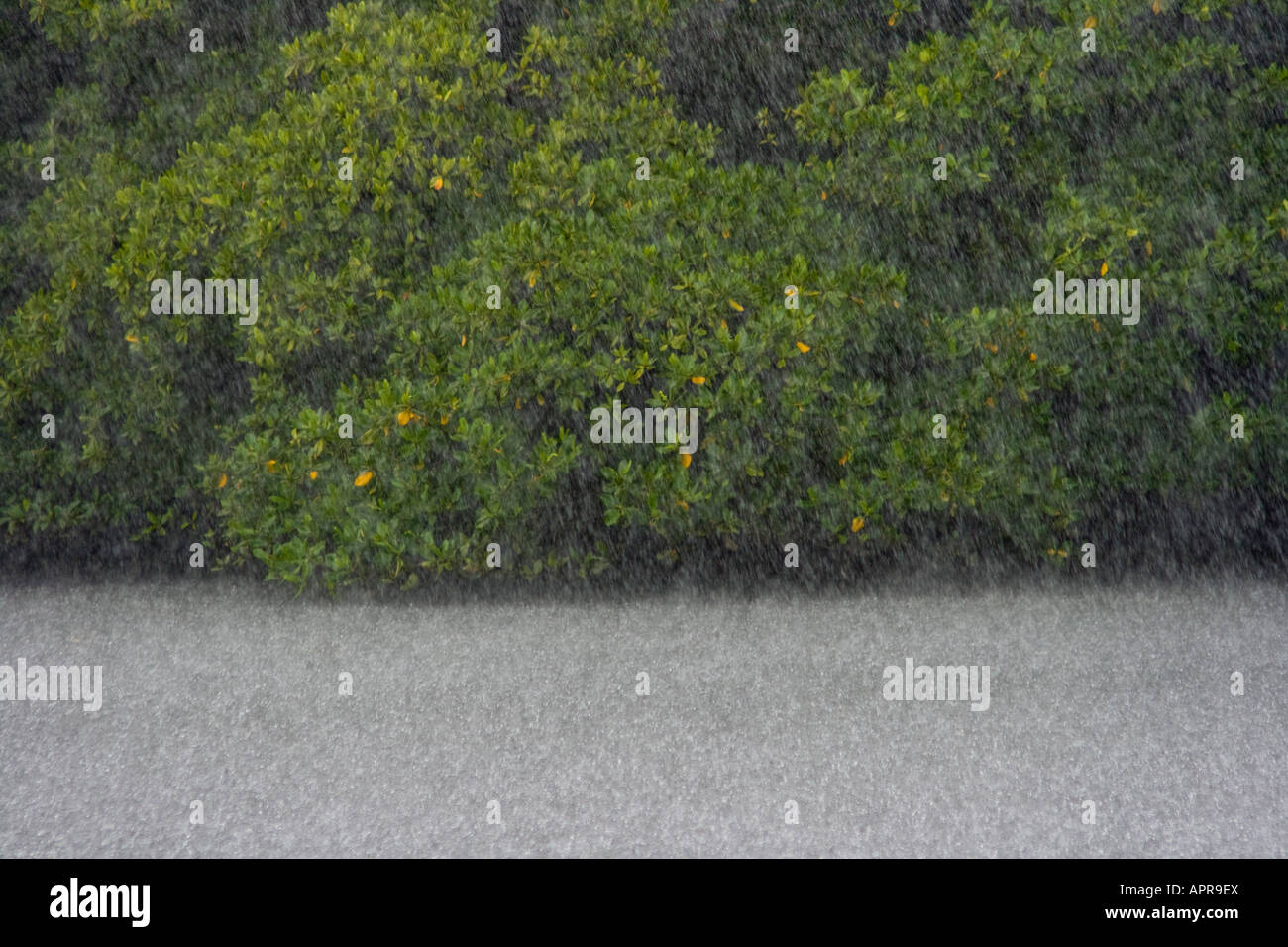 Raining Hard on the Ocean Water around Yap Island Stock Photo Alamy