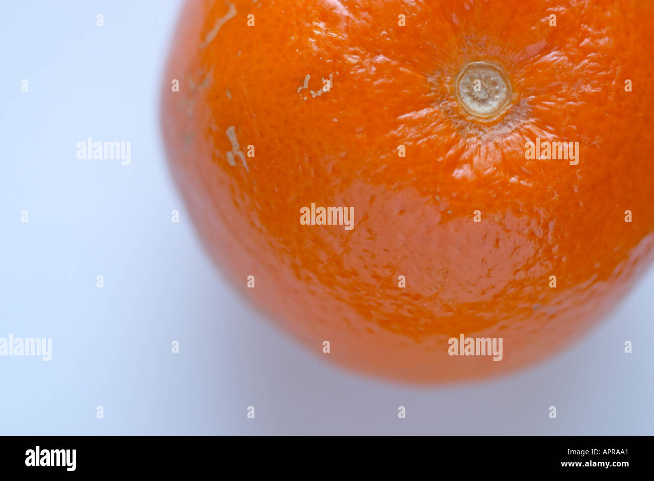 Orange Stock Photo