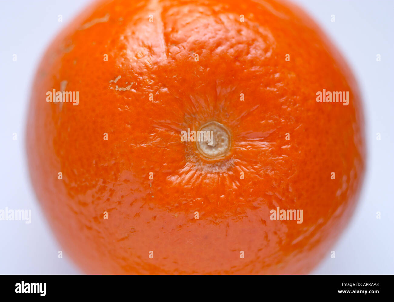 Orange Stock Photo