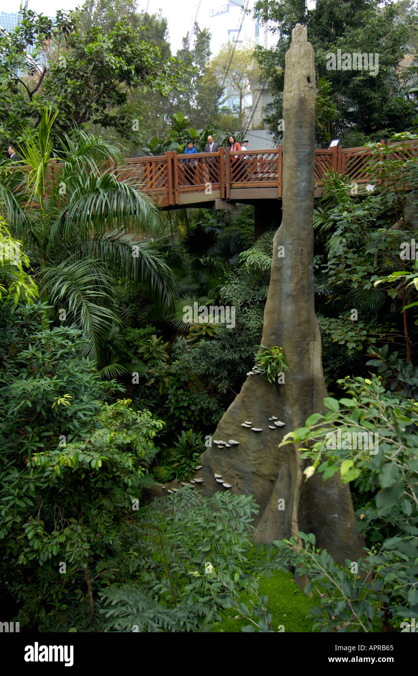 Visitors to the aviary in Hong Kong Park admire the views Stock Photo