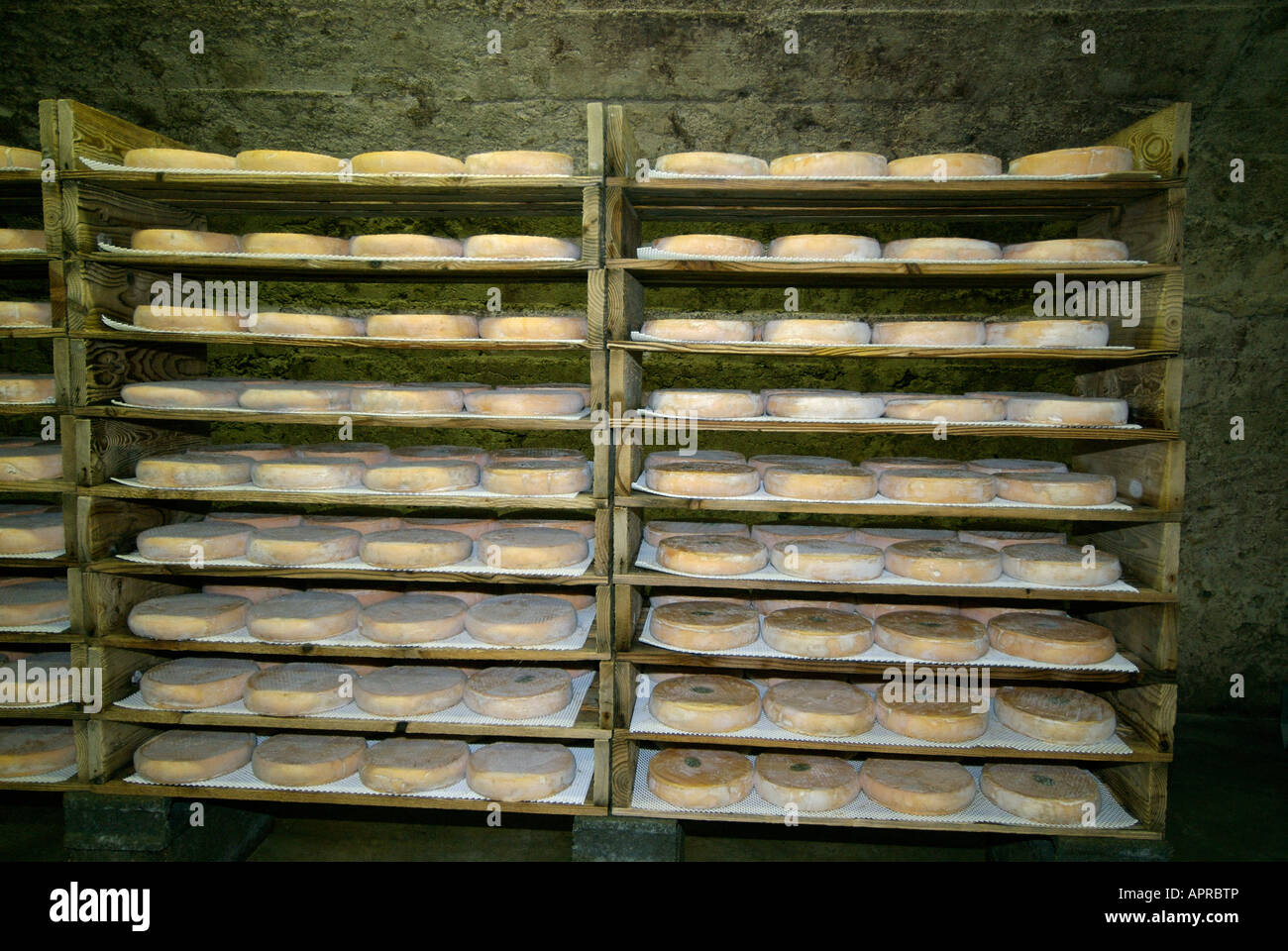 Cellar of French cheeses in Auvergne. France Stock Photo Alamy