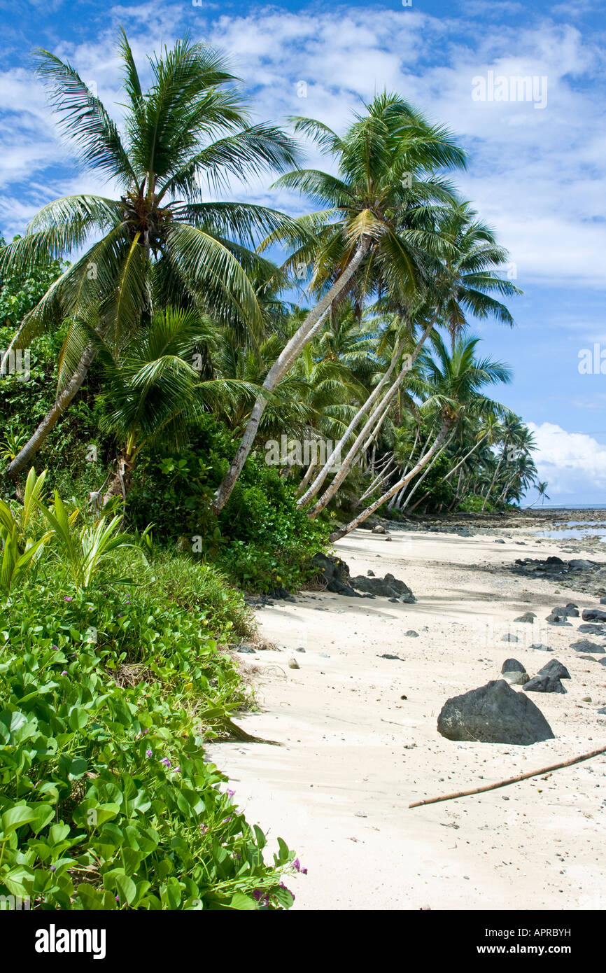 A Beautiful Tropical Beach on Yap Island Stock Photo