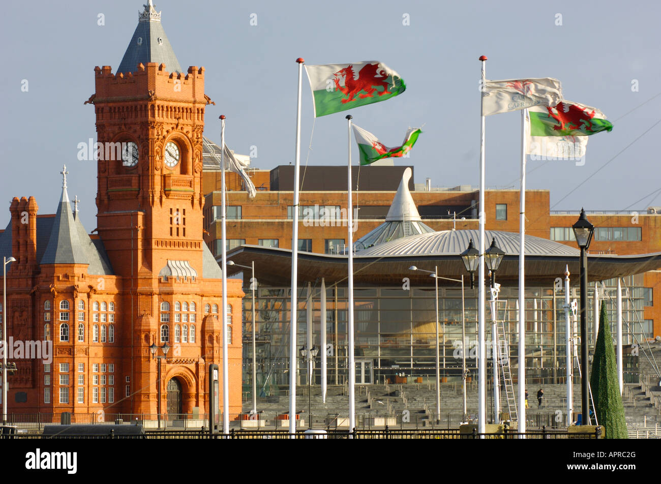 Cardiff Bay with the Welsh Assembly and the Millennium Centre and Pierhead building with Welsh flags flying. Stock Photo