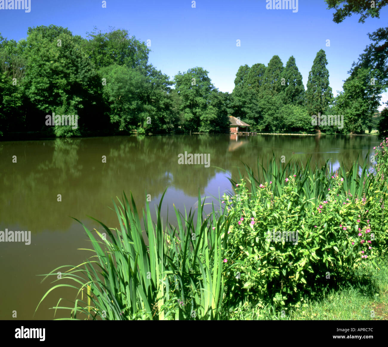 lake and boat house tredegar house newport gwent south wales Stock