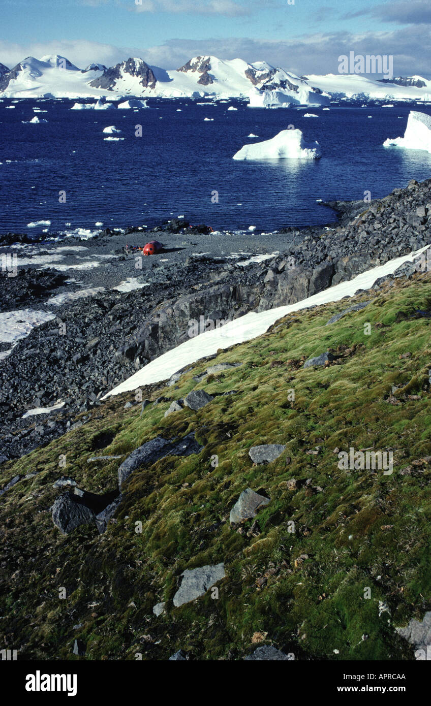 Moss slope and field hut Leonie Island Marguerite Bay Antarctica Stock Photo
