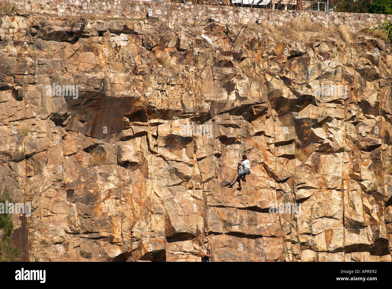 Rock Climbing by Brisbane River Brisbane Queensland Australia Stock