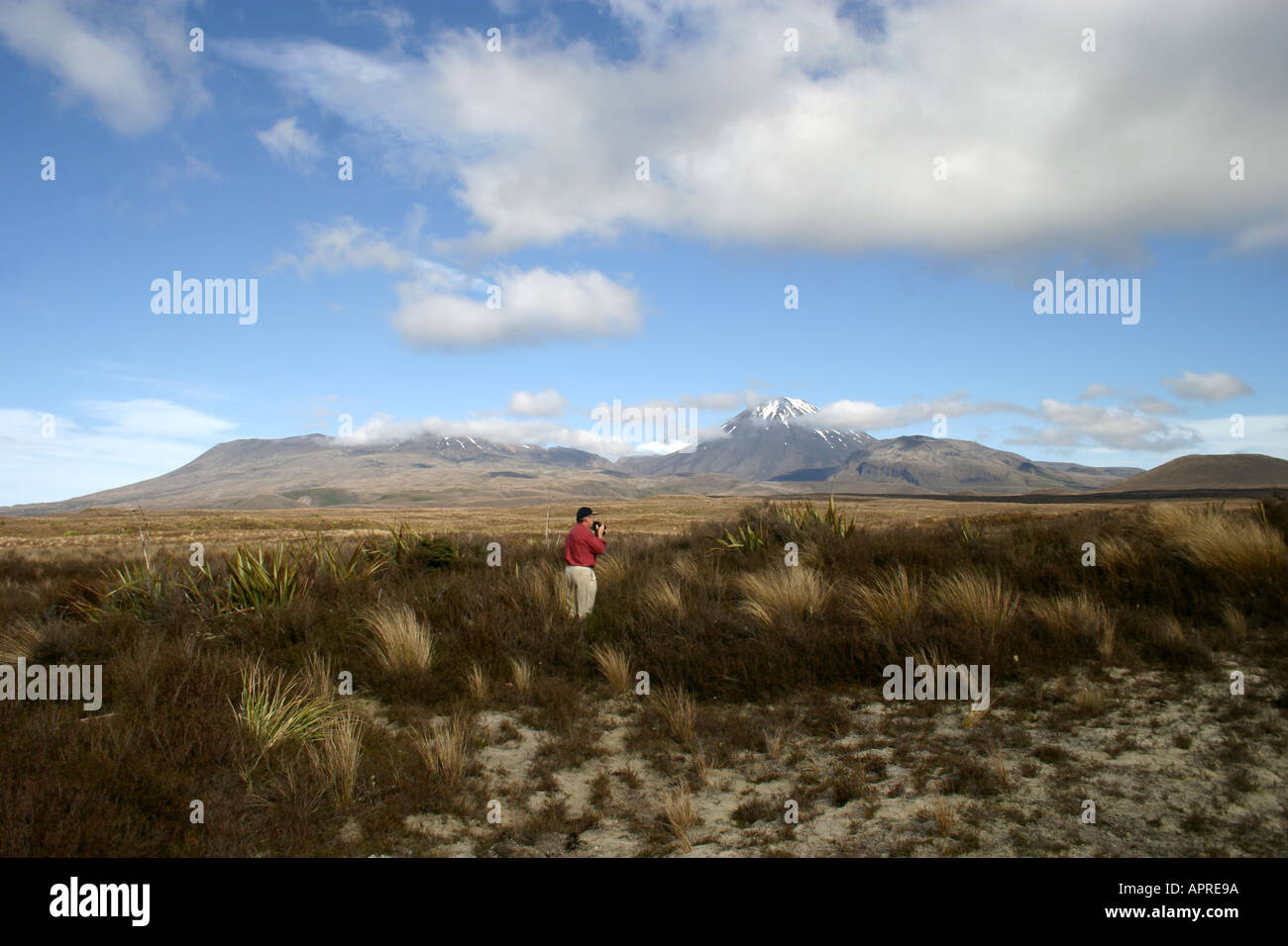 photographer taking panorama picture at Tongariro National Park New Zealand Stock Photo